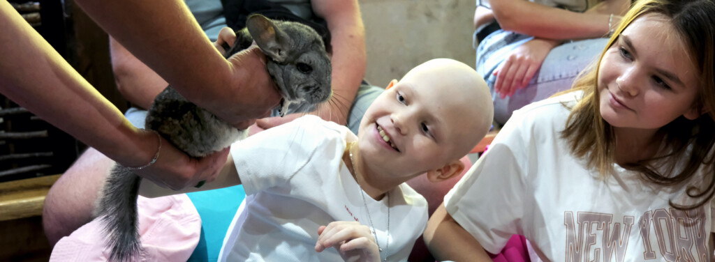 Animal-assisted therapy for young patients from the "Krab" Charitable ...